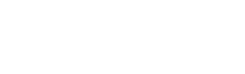 バーダンスのロゴ